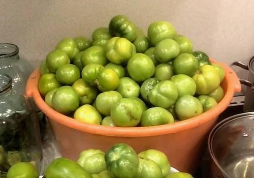 Помидоры зелёные фаршированные солёные на зиму.. Фаршированные зеленые помидоры 01