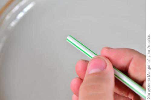 Как избежать образования косточек в варенье. «Варенье из вишни, из вишни варенье. Варенье из вишни – зимой объеденье», или Как легко и быстро удалить косточки из вишни