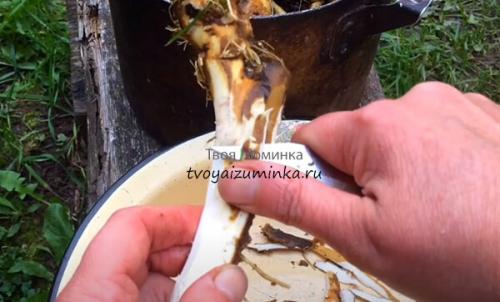 Помидоры на зиму без хрена. Хреновина без помидор: рецепт приготовления на зиму без варки