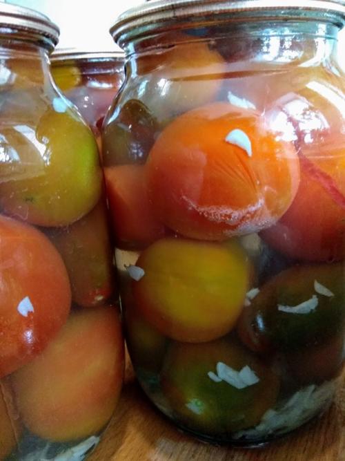 Помидоры в снегу с хреном. Помидоры в снегу на зиму с чесноком, хреном и горчицей: 5 самых вкусных рецептов помидоров под снегом 06