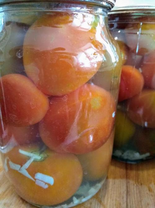 Помидоры в снегу с хреном. Помидоры в снегу на зиму с чесноком, хреном и горчицей: 5 самых вкусных рецептов помидоров под снегом 01