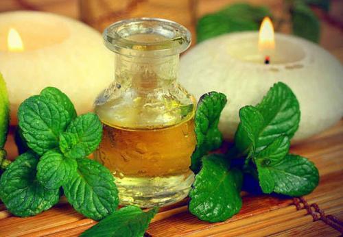 Масло ментола польза. В чем польза ментолового масла