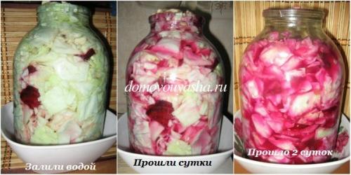 Что необходимо для приготовления капусты со свеклой без уксуса. Капуста пелюстка рецепт в банке без уксуса и с фотографиями