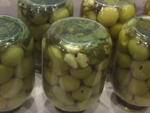 Зеленые помидоры дольками на зиму без стерилизации. Зелёные помидоры маринованные на зиму — простой рецепт, как в магазине