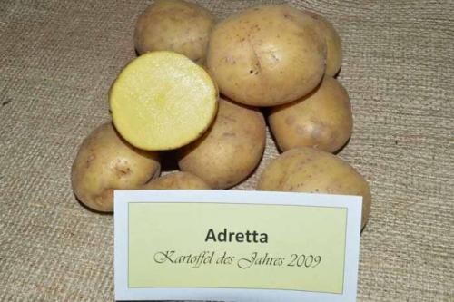 ТОП-17 рассыпчатых сортов картофеля с белой и желтой мякотью. Рассыпчатые сорта картофеля – ТОП-20 2022 года