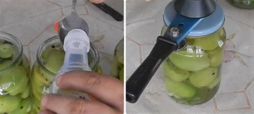 Зелёные помидоры с чесноком внутри на зиму. Зеленые помидоры фаршированные чесноком: 5 рецептов 17 Зелёные помидоры с чесноком внутри на зиму. Зеленые помидоры фаршированные чесноком: 5 рецептов 17