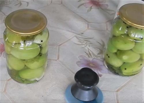 Зелёные помидоры с чесноком внутри на зиму. Зеленые помидоры фаршированные чесноком: 5 рецептов 18 Зелёные помидоры с чесноком внутри на зиму. Зеленые помидоры фаршированные чесноком: 5 рецептов 18