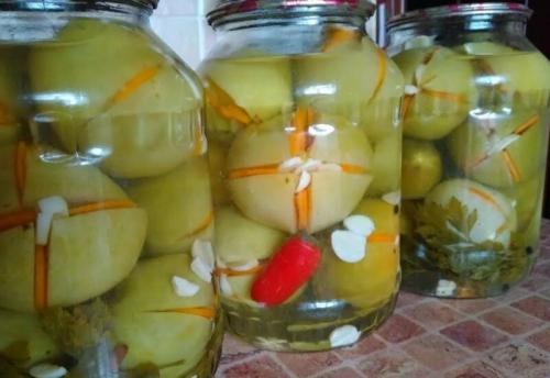 Зелёные помидоры с чесноком внутри на зиму. Зеленые помидоры фаршированные чесноком: 5 рецептов 13 Зелёные помидоры с чесноком внутри на зиму. Зеленые помидоры фаршированные чесноком: 5 рецептов 13