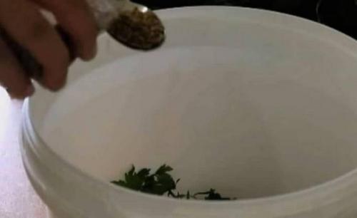 Квашеные зелёные помидоры на зиму в банке. Рекомендации по подготовке 06 Квашеные зелёные помидоры на зиму в банке. Рекомендации по подготовке 06