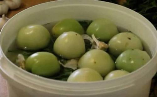 Вкусные квашеные зеленые помидоры. Зеленые помидоры квашеные на зиму 02 Вкусные квашеные зеленые помидоры. Зеленые помидоры квашеные на зиму 02