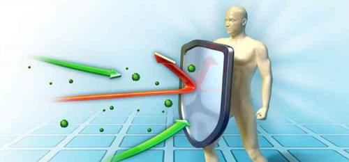 Галинзога четырехлучевая (американка). Использование лечебных свойств галинсога в медицине, польза или вред