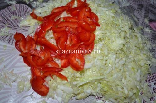 Капуста горячим рассолом быстрого приготовления: 5 рецептов 11