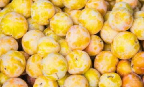 Джем из желтой сливы без кожуры. Варенье из желтой сливы — 8 пошаговых рецептов на зиму