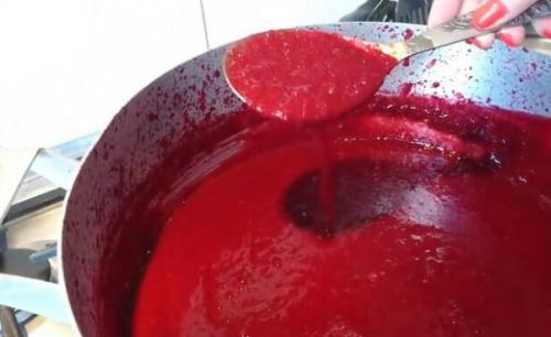 Варенье из слив с пектином или с желатином без косточек. Джем из сливы на зиму — самый простой рецепт «Пятиминутка»