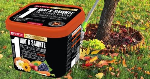 Можно ли использовать химические удобрения для подкормки груш осенью. Какими удобрениями подкармливать плодовые деревья осенью