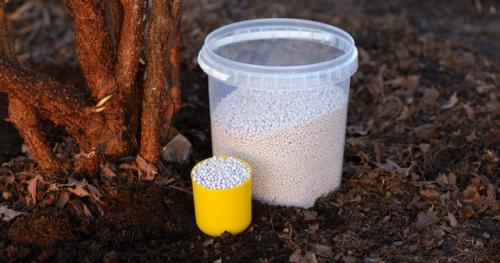 Можно ли использовать химические удобрения для подкормки груш осенью. Какими удобрениями подкармливать плодовые деревья осенью