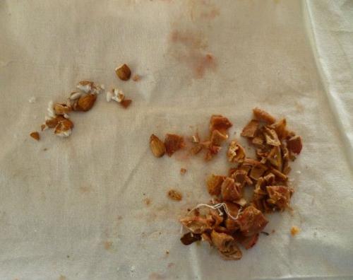 Мамины рецепты варенье из сливы. Варенье из сливы без косточек на зиму: 10 простых рецептов густого сливового варенья