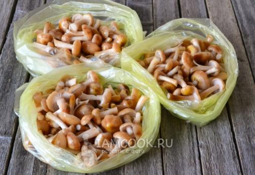 Варить или не варить: как правильно готовить опята для заморозки 04