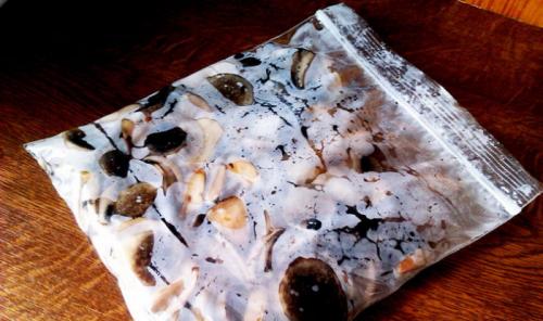 Можно ли замораживать опята в уже готовом виде. Как заморозить на зиму тушеные грибы опята?