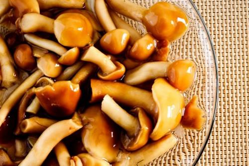 Как приготовить опяты на зиму без добавления соли. Как замариновать опята: 12 простых рецептов в домашних условиях