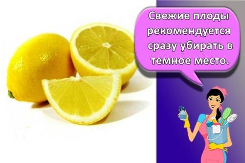 Просто и быстро: основы ухода за домашним лимоном 05 Просто и быстро: основы ухода за домашним лимоном 05