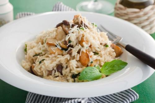 Какие блюда можно приготовить из отваренных опят на зиму. 20 простых и вкусных блюд с опятами