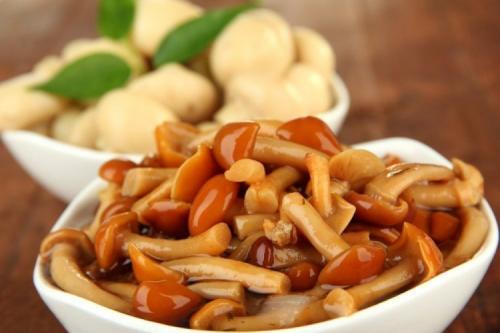 Как приготовить опяты на зиму без добавления соли. Как замариновать опята: 12 простых рецептов в домашних условиях