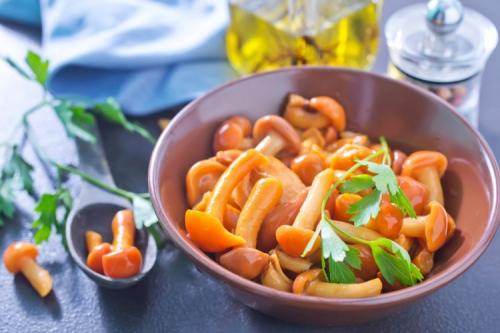 Как приготовить опяты на зиму без добавления соли. Как замариновать опята: 12 простых рецептов в домашних условиях