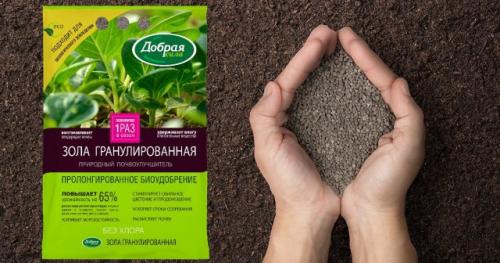 Как узнать, что саженцы нуждаются в удобрениях осенью. Какими удобрениями подкармливать плодовые деревья осенью