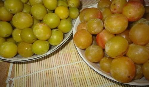 Можно ли использовать варенье из слив на зиму для приготовления десертов. Варенье из сливы без косточек на зиму – простой рецепт – «пятиминутка»