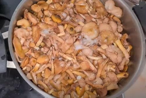 Какие ингредиенты нужны для приготовления опят для заморозки. Нужно ли отваривать свежие опята для заморозки