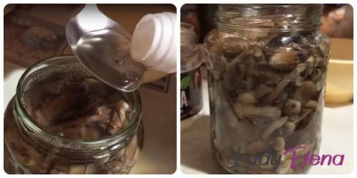 Сколько времени требуется для отваривания опят. Сколько минут варить опята для маринования