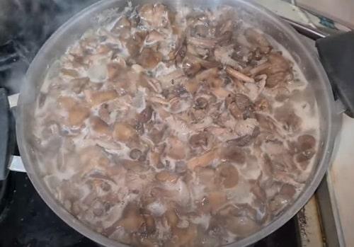 Какие ингредиенты нужны для приготовления опят для заморозки. Нужно ли отваривать свежие опята для заморозки