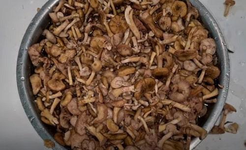 Какие ингредиенты нужны для приготовления опят для заморозки. Нужно ли отваривать свежие опята для заморозки