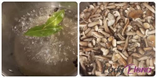 Сколько времени требуется для отваривания опят. Сколько минут варить опята для маринования