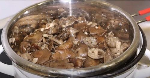 Какие ингредиенты нужны для приготовления опят для заморозки. Нужно ли отваривать свежие опята для заморозки