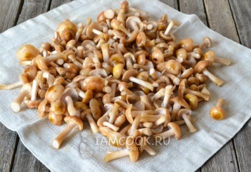 Заморозка опят: простой рецепт для долгосрочного хранения 15 Заморозка опят: простой рецепт для долгосрочного хранения 15