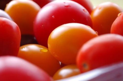 Хреновина на зиму с варкой. Хренодер вареный