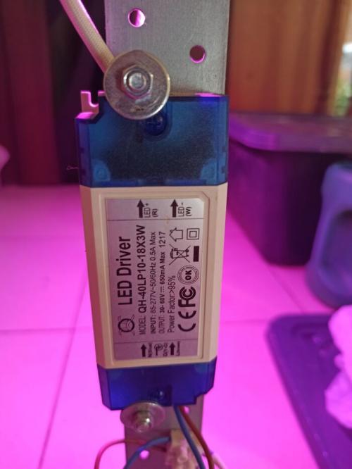 Как обеспечить достаточное освещение для лимонного дерева в помещении. Опыт подсветки комнатных лимонов светодиодами в нашем семейном питомнике «Павловский лимон»