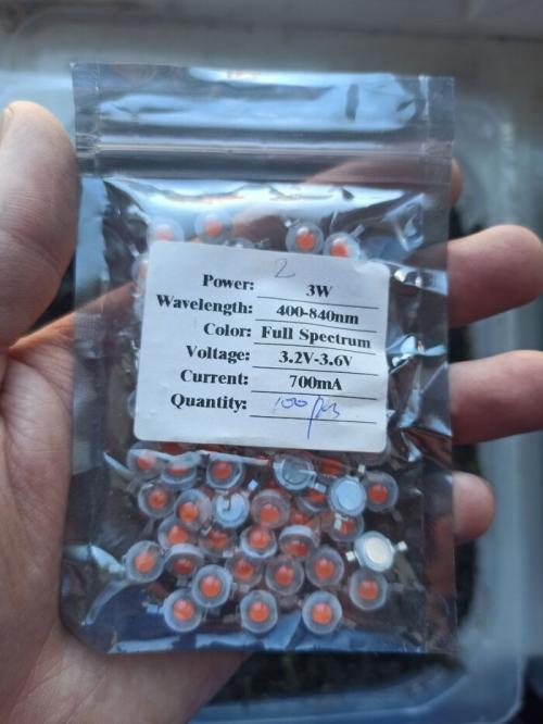 Как обеспечить достаточное освещение для лимонного дерева в помещении. Опыт подсветки комнатных лимонов светодиодами в нашем семейном питомнике «Павловский лимон»