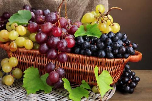 Лучшие поздние сорта винограда. Лучшие сорта винограда: фото, названия и описания (каталог)