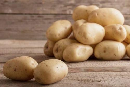 Лучшие сорта поздней картошки. Поздние сорта картофеля: основные черты