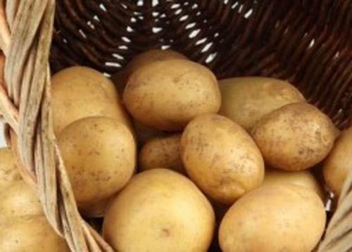 Сорта картофеля по алфавиту фото и описание