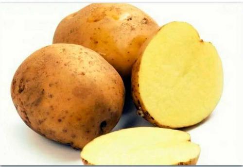 Сорта картофеля по алфавиту фото и описание