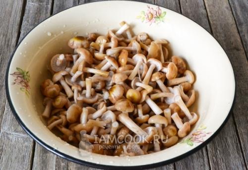 Как правильно приготовить опят перед заморозкой 05 Как правильно приготовить опят перед заморозкой 05