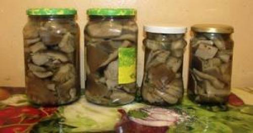 Вешенки на зиму соленые рецепты. Подготовка 01