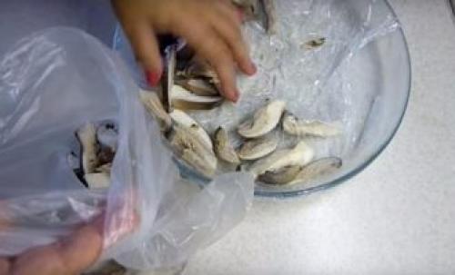 Вешенки на зиму соленые рецепты. Подготовка 11 Вешенки на зиму соленые рецепты. Подготовка 11