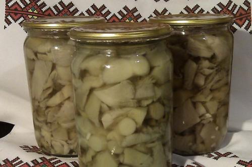 Заготовки из вешенок. Заготовка вешенок на зиму в домашних условиях