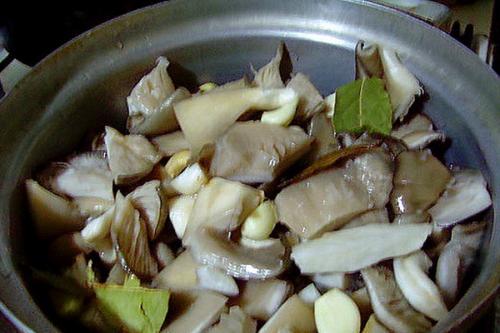 Заготовки из вешенок. Заготовка вешенок на зиму в домашних условиях