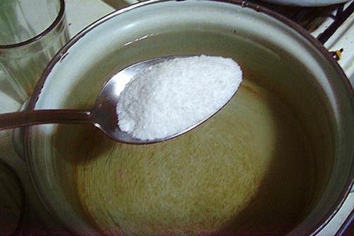 Заготовки из вешенок. Заготовка вешенок на зиму в домашних условиях